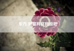 东方 财富网官网股吧、莱宝高科2020年净利增长55%：董事长臧卫东薪酬513万?