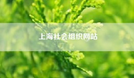 上海社会组织网站（上海浦东支持社会组织参与社区治理）